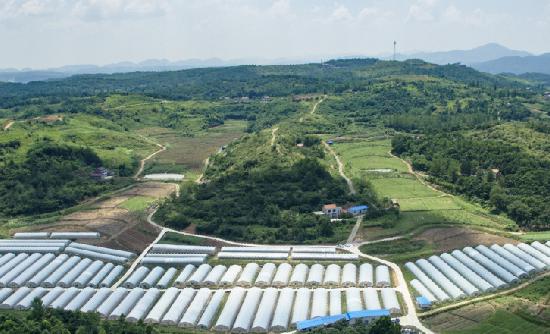 農村基本建設行業現狀及發展趨勢分析2023