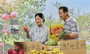 數字鄉村振興 以農村電商為代表的新業態新模式 農副產品直播電商基地建設政策