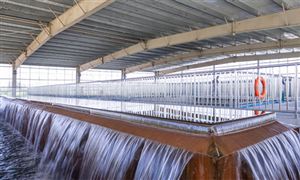 水凈化行業發展現狀及未來市場展望2023