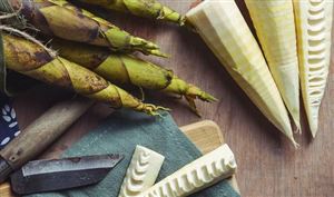 2023年中國竹筍行業(yè)發(fā)展現(xiàn)狀分析