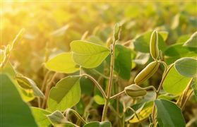 綠色金融產品和市場體系完善 綠色金融市場規模將加速擴容