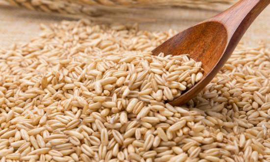 大豆深加工行業需求 未來大豆深加工市場發展趨向分析