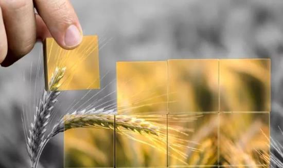 農村金融體系發展調研 改變長期以來信貸資金供需不平衡的局面