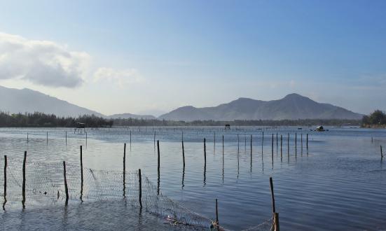 水產飼料市場調研：2022年全國水產品總產量6865.91萬噸，水產飼料行業未來的市場空間巨大