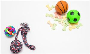 寵物用品場景趨勢分析 寵物用品行業市場調研2023