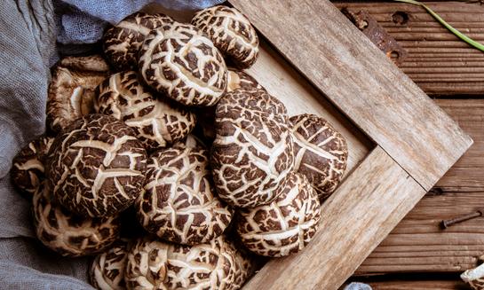 2023年食用菌養殖行業市場發展現狀：人工栽培食用菌產值達到2800億元