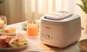 電飯煲行業現狀及競爭格局分析 電飯煲進出口市場分析2023