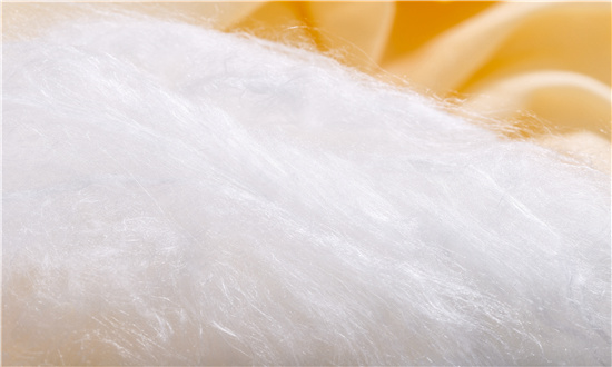 未來(lái)蠶絲被行業(yè)發(fā)展如何 蠶絲被行業(yè)前景分析