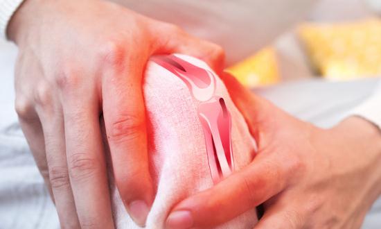 骨科植入器材行業市場走向與報告分析2024