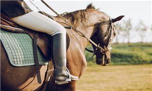 馬術俱樂部行業市場分析 未來中國馬術俱樂部行業發展分析