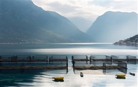 江西持續(xù)推進現(xiàn)代化灌區(qū)建設(shè)和改造