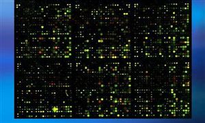 基因芯片行業市場調查與及未來研究方向