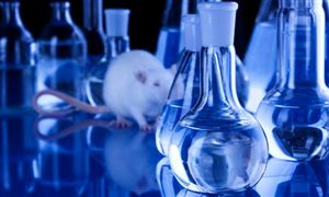 2023實驗動物行業發展現狀及供需格局分析