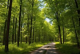 2023國內旅游市場呈現持續升溫態勢