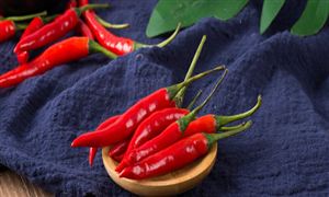 辣椒種植行業(yè)市場發(fā)展現(xiàn)狀分析2023