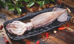 魷魚(yú)行業(yè)市場(chǎng)深度分析：魷魚(yú)的加工逐漸趨于精細(xì)化