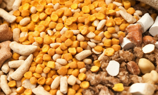 豬飼料行業市場供需格局及現狀趨勢分析2023