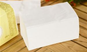 紙巾行業分析 2023年紙巾市場深度調查