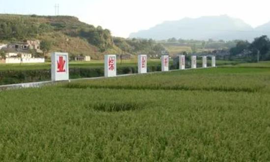 綜合農(nóng)業(yè)行業(yè)發(fā)展分析2024：力爭(zhēng)到2027年農(nóng)民收入達(dá)到2.79萬(wàn)元左右