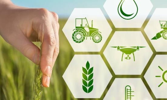 行業洞察2024：智慧農業為精準扶貧帶來諸多機遇