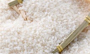 中國(guó)大米行業(yè)市場(chǎng)現(xiàn)狀分析2024