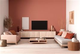 綠色智能家居產品進鄉村 中國智能家居行業政策環境分析