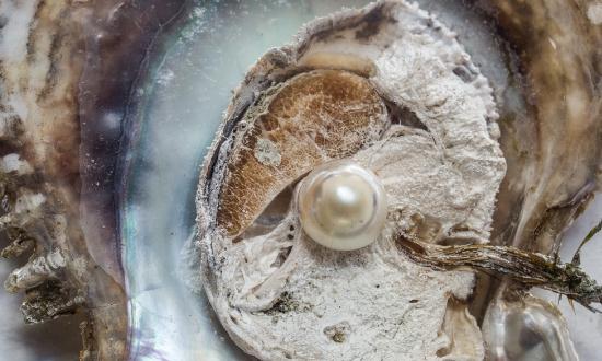 中國淡水珍珠行業市場深度分析2024