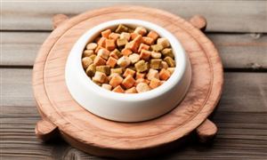 寵物食品行業(yè)未來發(fā)展前景：后續(xù)寵物食品出口有望繼續(xù)修復(fù)