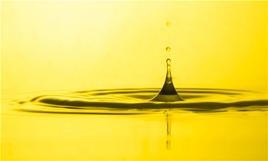 油茶產業(yè)發(fā)展三年行動開局良好 2024年油茶有望迎來大豐收