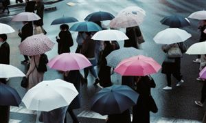 目前我國雨具出口數量和金額占據了世界總量的80%左右