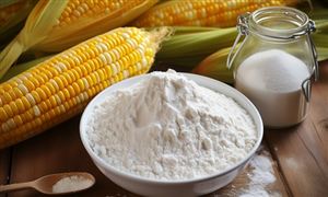 2023年玉米淀粉行業?發展現狀及趨勢