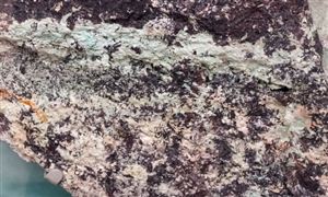 2023年鎢產業競爭格局及發展趨勢