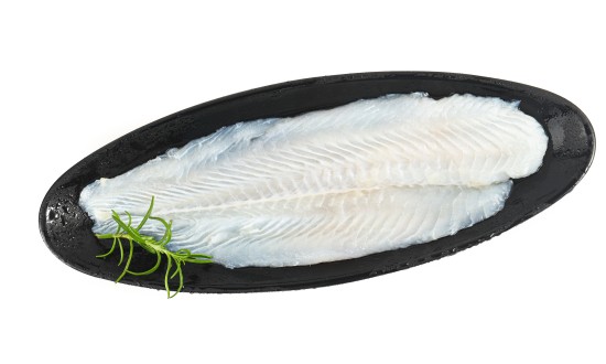 2023年中國深水魚行業(yè)市場需求分析及發(fā)展前景