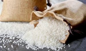 2023年中國大米加工?行業競爭格局分析及發展趨勢