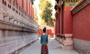 民族服裝市場(chǎng)機(jī)遇深度調(diào)研分析2024