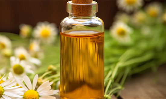 元寶楓籽及提取物行業市場深度分析