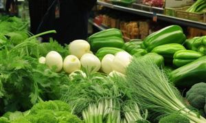 中國有機(jī)市場(chǎng)也有著巨大的市場(chǎng)需求  我國有機(jī)蔬菜產(chǎn)業(yè)市場(chǎng)分析