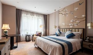 上海萬達瑞華酒店易主：北京鷹朗商管公司全資持有 仍由萬達管理 經濟型酒店行業市場深度分析