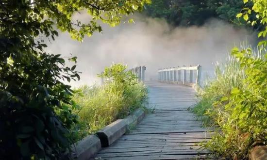 5G行業發展為超高清視頻發展帶來機遇 