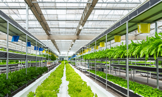 我國農資行業市場規模已達萬億元級 農資行業未來發展策略分析