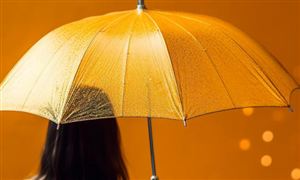 目前我國雨具出口數量和金額占據了世界總量的80%左右  雨傘行業市場分析