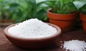 磷肥行業(yè)發(fā)展現(xiàn)狀 磷肥產(chǎn)品進(jìn)出口市場(chǎng)分析