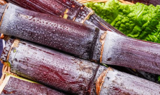 目前我國甘蔗產業只實現了40%左右的機械化  我國甘蔗產業?市場分析