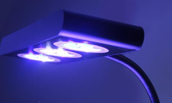 LED燈行業市場深度調研：預計2026年LED照明市場規模將增至7000多億元