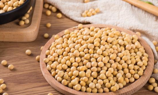 大豆濃縮蛋白行業前景及現狀分析2024