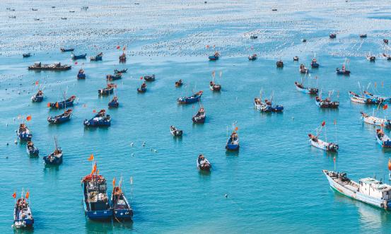 2024漁船行業(yè)發(fā)展現(xiàn)狀分析 漁船行業(yè)進出口市場分析