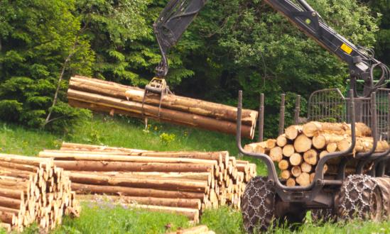 林業機械行業前景如何 林業機械產業現狀分析