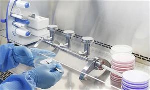 2024藥品檢測行業(yè)現(xiàn)狀分析與發(fā)展趨勢：藥品檢測將更加精準、快速