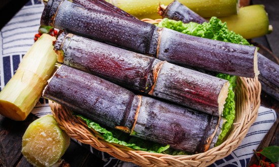 2024年甘蔗行業市場現狀及發展趨勢