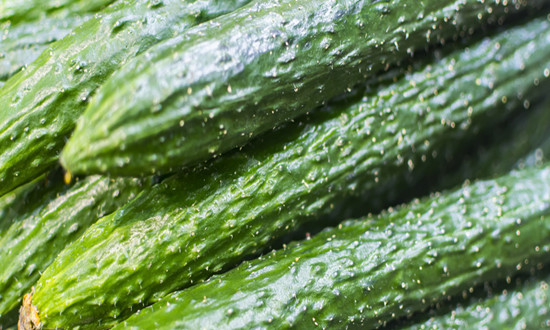 2024年中國黃瓜行業市場發展現狀及市場投資分析